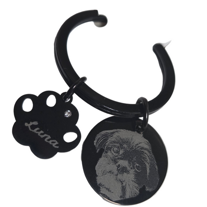 Dog Paw