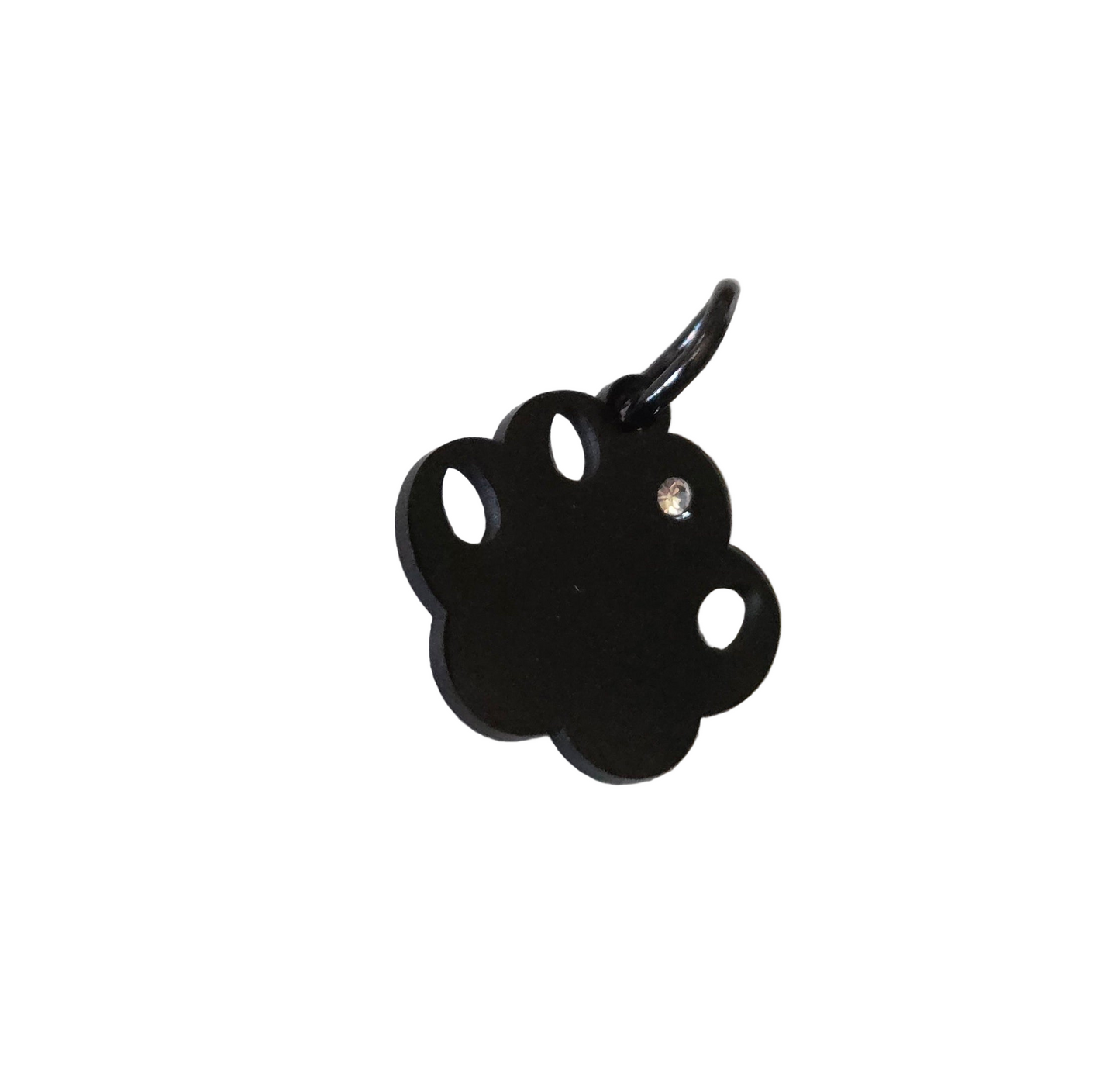 Dog Paw