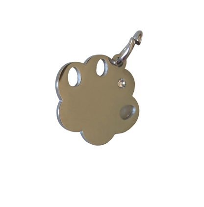 Dog Paw